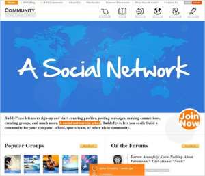 4-excellent-wordpress-social-networking-themes-2015-community-junction