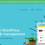 Flywheel-Managed-WordPress-Hosting-150x150