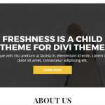 Freshness-Divi-Child-Theme-150x150