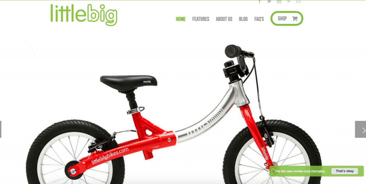 Little Big Bikes using Avada theme