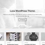 Luna-Responsive-WordPress-Theme-150x150