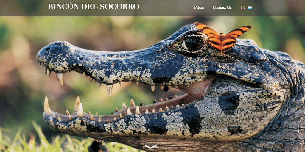 Rincon Del Socorro using Avada theme