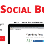 Social Buzz WordPress Plugin