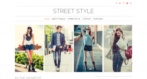 Street Style WordPress Theme