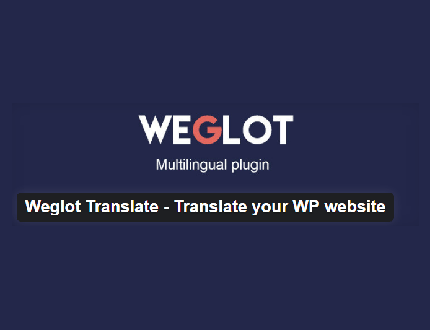 Weglot translate Plugin