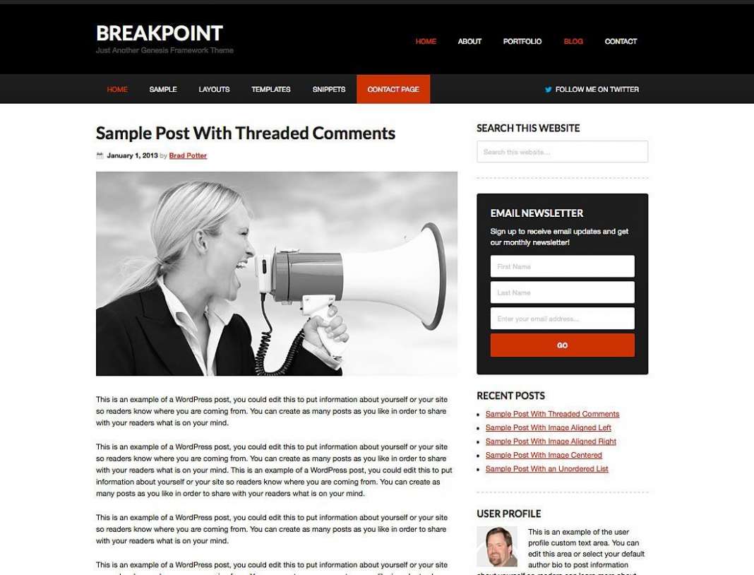 Breakpoint WordPress Theme Download & Review 2024