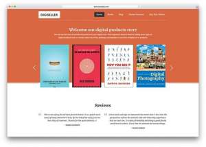 digiseller-ebook-digtital-product-store