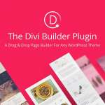 Divi Page Builder